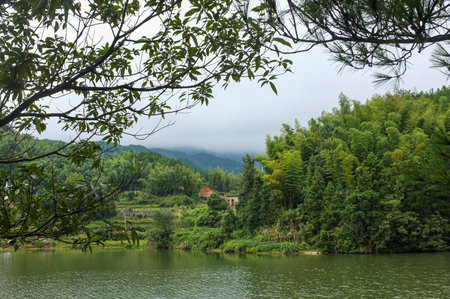 landscape view of a lake in the middle of a green forestの写真素材
