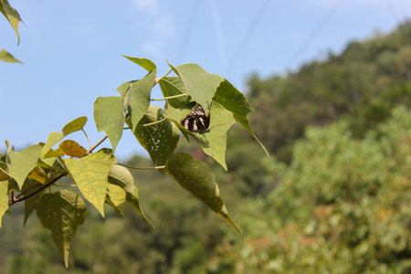 China, Hebei Province, Shijiazhuang City, Chongqing City Scenic Areaの写真素材
