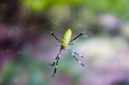 Old house with blue sky and white cloud in Bangkok, Thailand.の写真素材