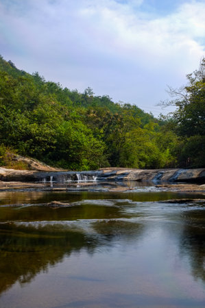 Wooden walkway in the forest,Hangzhou,Chinaの写真素材
