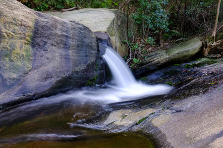 spider on a web in the forest, closeup of photoの写真素材
