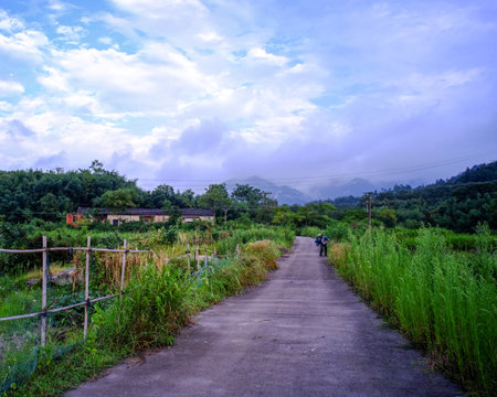 Road in the countryside with blue sky and white cloud background, Thailand.の写真素材