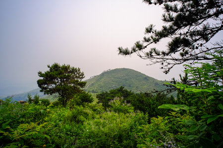 Mountain landscape at Doi Inthanon National Park, Thailand.