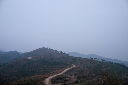 Landscape view of mountains and fog at Phu Kradueng National Park, Loei, Thailand.の写真素材