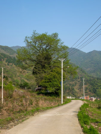 The road in the village of Mae Salong, Chiang Rai province.の写真素材
