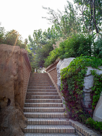 stone stairs in the park with green plants on the sides and sunlightの写真素材