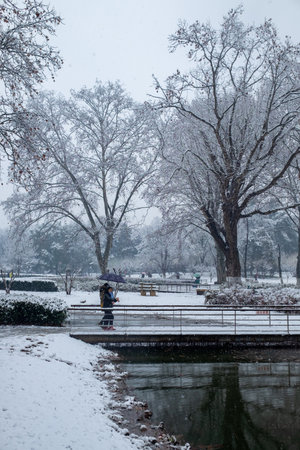 Hangzhou West Lake Park scenery during snowfall, China.の写真素材