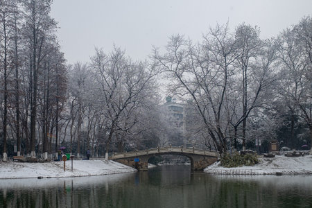 Winter scenery in a park, Luannan County, Hebei Province, Chinaの写真素材