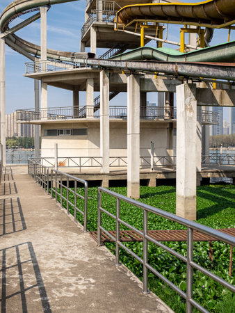 Park in Shanghai, China.の写真素材