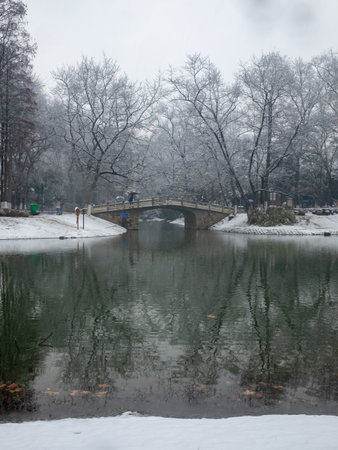 Winter landscape with frozen lake, trees and bridge in the city parkの写真素材