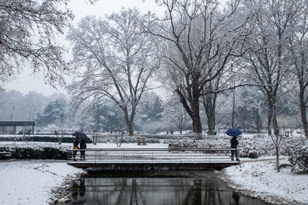 Winter scenery in South Korea,Namsan\\"\"\""の写真素材