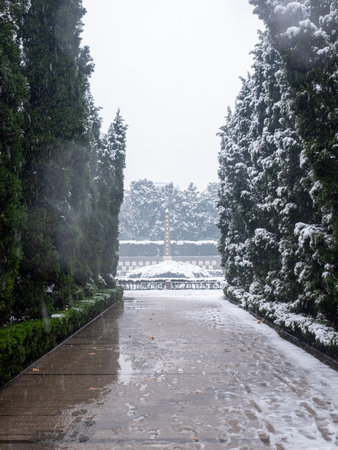 Snowfall in a park in Hanoi, Vietnam in winterの写真素材