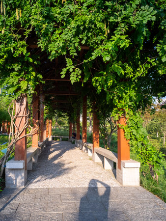 Wooden arbor in the park with green leaves in summer.の写真素材