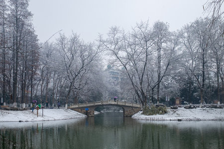 Winter scenery of Wuhan, Hubei Province, Chinaの写真素材