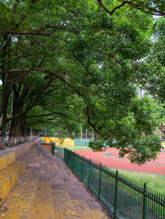 Park in New York City, United States of America, USA.の写真素材