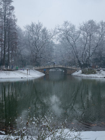 Winter landscape of the river and trees in the city park in winterの写真素材