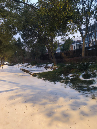 A vertical perspective of a snow-covered pedestrian path in a residential area, with long shadows of trees cast on the white surface.の写真素材