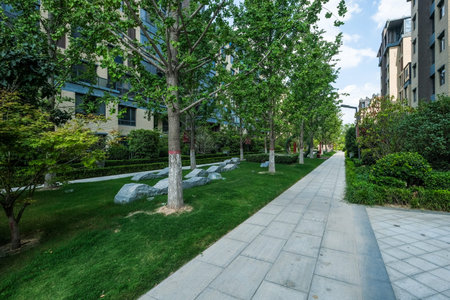 A landscape shot of a stone pedestrian path winding through a well-manicured green lawn, accented with natural stone sculptures in an upscale apartment complex.の写真素材