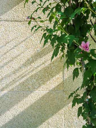 A vertical close-up of lush green plant foliage and a pink flower growing against a textured stone...