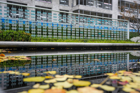A calm pool surface reflecting a modern grid-like garden wall and autumn leaves, captured at...