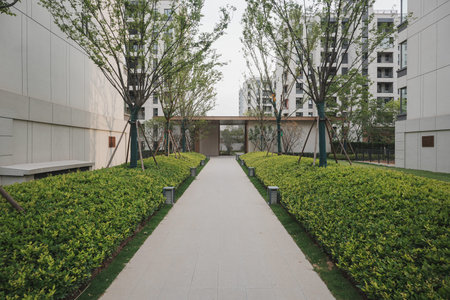 A clean stone path bordered by thick, vibrant hedges, leading towards a modern architectural...
