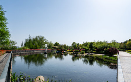 A calm lake with a central water fountain in a beautiful landscaped garden. The image conveys...