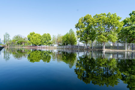 A calm lake reflecting surrounding lush green trees in a sunny city park. The image conveys tranquil...