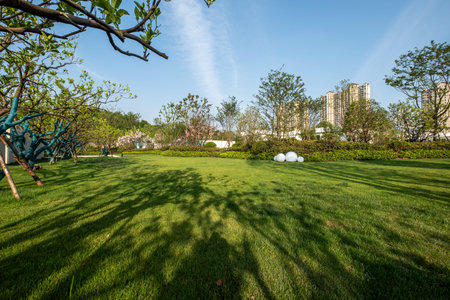 Description: A sprawling green lawn in a city park with long shadows cast by tall trees. The image...