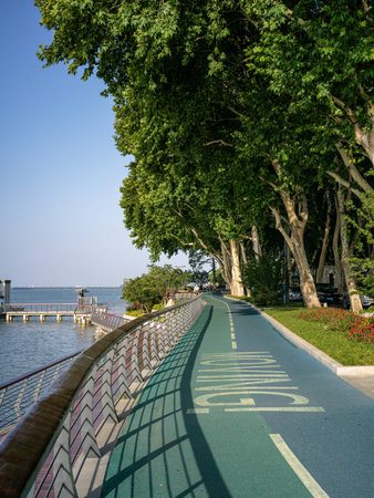Wuhan, China - June 16, 2025: Empty curved green painted bike path and stone paved pedestrian...
