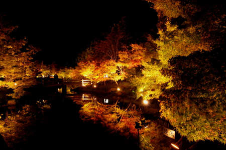 IE Prefecture, Japan-Oct 31, 2015: It is the illuminations of "Nabana no Sato" is in Kuwana, Mie Prefectureのeditorial素材