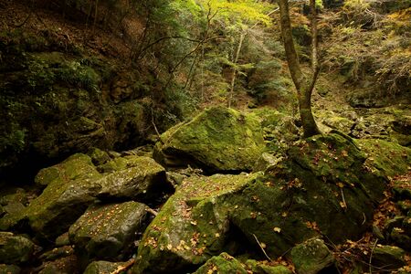 Megalithic groupの写真素材