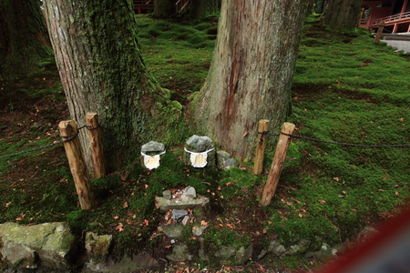 Moss and Jizoの写真素材