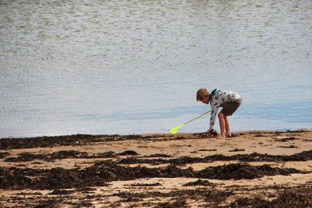 boy with scoop-netの写真素材