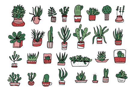 Succulents in doodle style. Set of house plants. Poster, banner, greeting card, print isolated elements. Vector color illustration.のイラスト素材