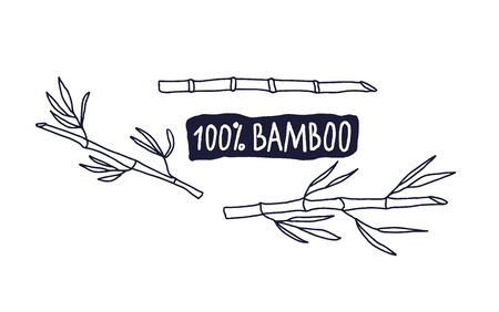 100 persent bamboo emblem isolated on white background. Eco friendly. Vector  hand drawn illustration.のイラスト素材