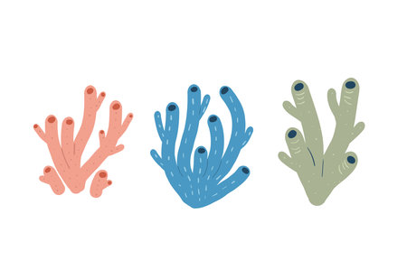 Coral reef set isolated on white background. Sea underwater elements. Vector hand drawn modern flat illustration.のイラスト素材