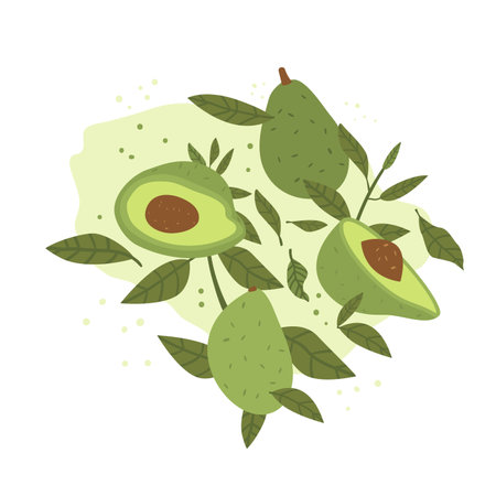 Avocado with leaves composition isolated on white background. Whole and halved avocado and green...
