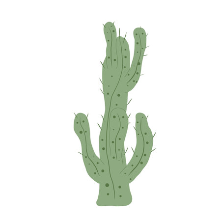 Cactus isolation on white background. Mexican cacti. Exotic plant. Vector hand drawn flat illustrationのイラスト素材