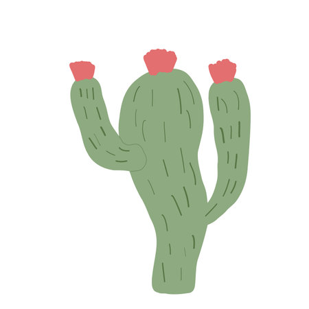 Doodle cactus isolated on white background. Mexican cacti. Exotic plant Vector hand drawn flat illustrationのイラスト素材