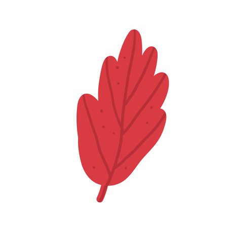 Autumn leaf isolated on white background. Fall forest foliage shape. Vector hand drawn flat illustration.のイラスト素材