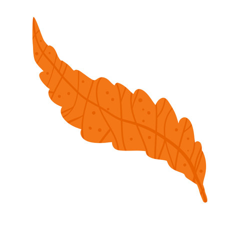 Autumn leaf isolated on white background. Vector hand drawn flat illustration.のイラスト素材