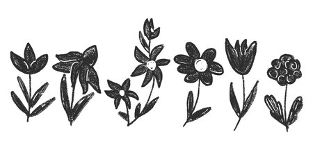 Hand drawn abstract flowers set. Charcoal tulip, daisy doodle monochrome. Floral chamomile and marguerite kids chalk style shape. Vector black pencil illustration on white background.のイラスト素材