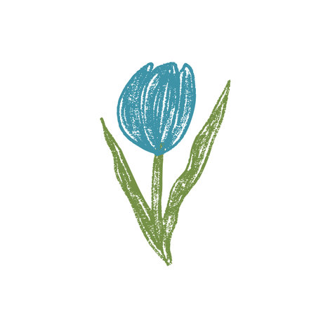 Tulip flower crayon drawn. Spring crocus plant doodle isolated on white background. Summer floral kids element. Chalk or pastel style childish scrawl nature shape. Vector naive illustration by pencil.のイラスト素材