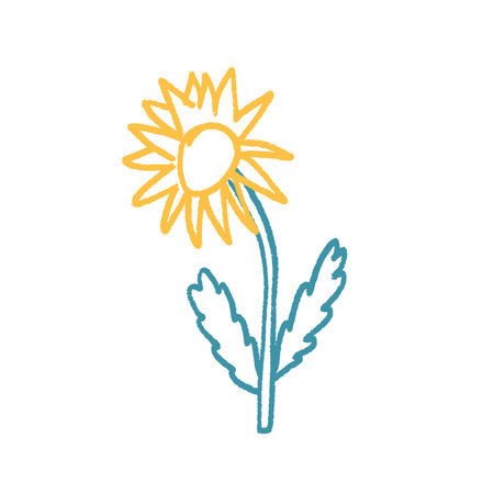 Flower crayon drawn. Spring daisy plant doodle isolated on white background. Summer floral kids element. Chalk or pastel style childish wildflower nature shape. Vector naive illustration by pencil.のイラスト素材