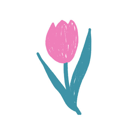 Tulip flower crayon drawn. Spring crocus plant doodle isolated on white background. Summer floral kids element. Chalk or pastel style childish scrawl nature shape. Vector naive illustration by pencil.のイラスト素材