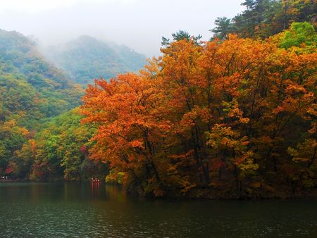 red autumn leavesの写真素材