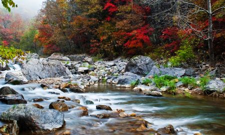red autumn leavesの写真素材