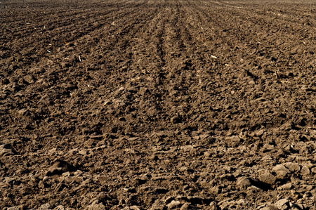 Plowed black soil in agricultural field
