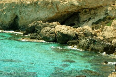 Tropical background on Agia Napa Cyprusの写真素材