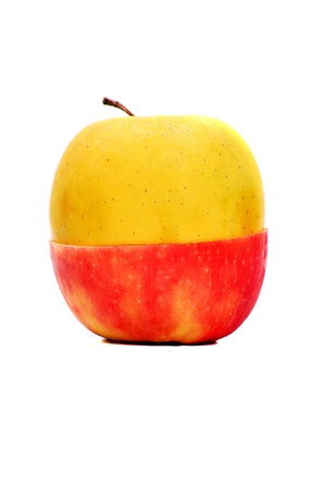 Apple that is half yellow and half redの写真素材